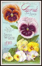 Vintage Reproduction Seed Pack Cover Art Print Vintage Seed Packets Pansies Flower Seeds Packets