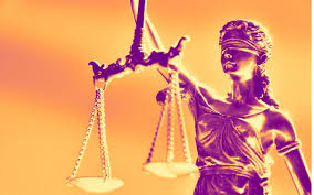 Image result for Justicia francoiseana