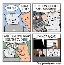 I can see that, the judge responded before trying to walk the lawyer through fixing the video became an instant meme, along with the phrase, i am not a cat. there was just one problem. Lawyer Issues Lawyerissues Twitter