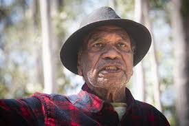 Will Braemar Forest be the first koala habitat sacrificed under new laws?