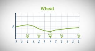When you place a coffee table in front of a couch or on a carpet, ideally it should not take up more than 2/3 of its width. Understanding Seasonality In Grains