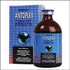 Gamefowl supplementation, however, is more than that. áˆ Best Vitamins For Fighting Cocks What They Are