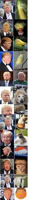 Https Www Facebook Com Groups 1710816119179412 1717196071874750 Laughing Pinterest Donald O Connor Jokes And Clinton N Jie