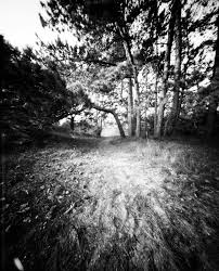 Waalsdorpervlakte waalsdorpervlakte is an area in the meijendel dunes near scheveningen where over 250 members of the dutch resistance were executed during the second world war. Waalsdorpervlakte Pinhole Obscura