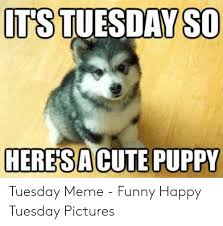 15 sayings and quotes about tuesday. Happy Tuesday Memes For Work