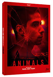 Amazon.com: ANIMALS