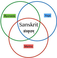 We did not find results for: Sanskrit A Sacred Model Of Language Part 3 Integral Yoga Magazine