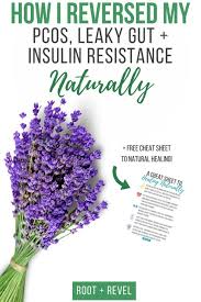 How I Cured Pcos Leaky Gut Naturally Insulin Resistance Pcos Pcos Cure