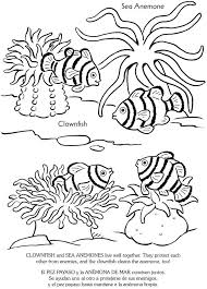 Black And White Sea Anemone Welcome To Dover Publications Ocean Art Projects Dover Coloring Pages Stencils Printables Templates