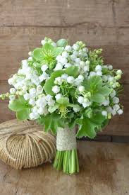 Als hätten sie land betreten claudia sammer. Poczta Najlepsza Poczta Najwieksze Zalaczniki Lily Of The Valley Flowers Expensive Flowers Beautiful Flower Arrangements
