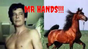 The Story Of Mr Hands 
