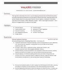 financial examiner resume example ct