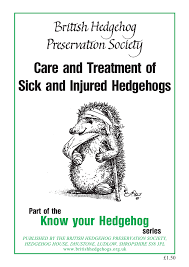 Care And Treatment Of Sick And Injured Hedgehogs