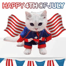 You know what that means… ten million status updates saying the exact same thing. Funny 4th Of July Memes Happy Fourth Of July Gifs 2021