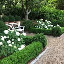 My Favorite Garden Combination Boxwoods And Annabelle Hydrangeas Gardensofthesouth Annabelleh Hydrangea Landscaping Boxwood Landscaping Beautiful Gardens