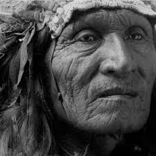 Sioux Native American Portrait, Chief He Dog, American Indian, Indigenous  Americans, History, Historical Print, American History, Wall Art