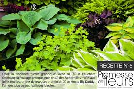 Recette N 5 Pour Un Jardin Graphique Soyez Dans La Tendance Avec Ces Superbes Plantes De Jardin Graphi Plante Ombre Vivaces Roche Amenagement Paysager