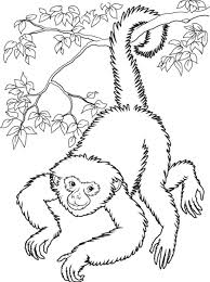 A stunning collection of monkey coloring patterns: Monkey Coloring Book Page Coloring Home