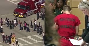 Image result for parkland shooting shooter