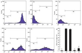 reversing multidrug resistance by rna interference through