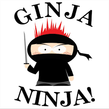 Ginga Ninja Make Me Laugh Ginja Ninja Funny