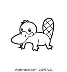 Black And White Clipart Outline Silhouette Platypus Platypus Png Transparent Png Transparent Png Image Pngitem Elka Abimillepattes Com Multiple sizes and related images are all free on clker.com. black and white clipart outline