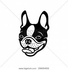 How to draw a boston. Boston Terrier Images Illustrations Vectors Free Bigstock