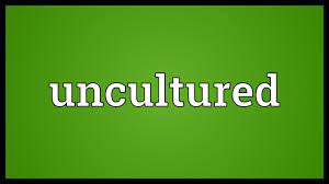 This world may be a primitive, uncultured backwater, but they do make an excellent cup of coffee. Uncultured Meaning Youtube