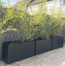Fibreglass troughs can be custom made in any colour. Large Bamboo Trough Planters Contemporary Garden Design Back Garden Design Front Garden Design