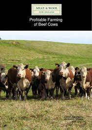 Maybe you would like to learn more about one of these? Profitable Farming Of Beef Cows Beef Lamb New Zealand
