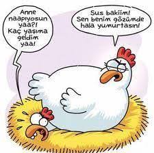 Sorumluluk Ile Ilgili Gorsel Sonucu Komik Karikatur Komik Seyler