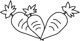 994 x 1300 png 39 кб. Carrot Coloring Page Coloring Home