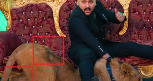 Decizia instanței nu este una definitivă. Dosar Penal Pentru Dani Mocanu Manelistul A Filmat Un Videoclip Cu Un Leu