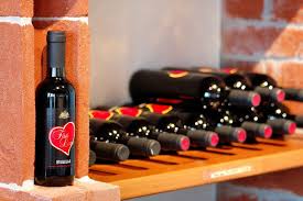 Tuscany Wine Tasting Tour Lucca Olive Oil Tasting Wine Cellar Guided Tour Tuscany Wine Tasting Wine Tasting Tours Tuscany Wine