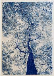 Work by Dora Somosi
