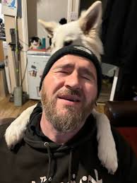 trying to take nice photos with my mare 'nova' 💞second one is personally  my favourite when she decided “actually i don't want to be cute anymore so  i'm just gonna bite your