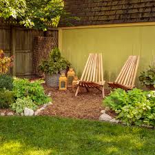 Image result for Boscia filipes