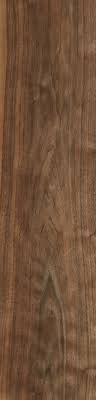 black walnut the wood database lumber identification