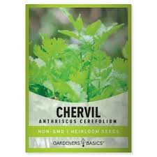 Image result for Hunteria congolana