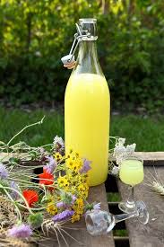Retro7wonder4reverie Via Pinterest Limoncello Pates De Fruits Maison Recette Limoncello Boisson Alcoolisee