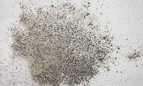 ¾ oranında karbonat ve ¼ oranında suyu karıştırarak cıvık bir hamur elde edin. Banyodaki Kuflenen Dolap Nasil Temizlenir Dekorblog