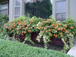 It may also be used for growing herbs or other edible plants. The Window Box A Hybrid Vehicle Deborah Silver Co