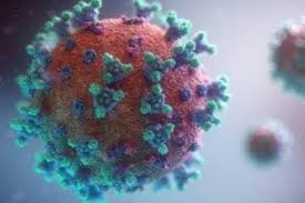 Vietnam, officially the socialist republic of vietnam (vietnamese: Vietnam Finds New Virus Variant Hybrid Of India Uk Strains Dtnext In
