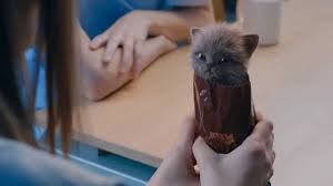 Image result for snacks made out of kittens