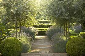 We did not find results for: Genius Garden Ideas 10 Landscapes With Olive Trees Gardenista