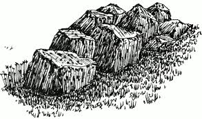 Pin On Pen And Ink Drawing