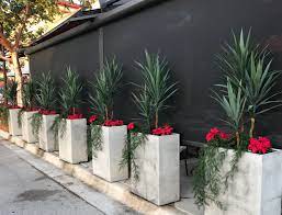 Outdoor commercial landscaping using artificial outdoor plants is a trending decorative prospect. Artificial Outdoor Plants Such As Yucca Trees And Sprengeri Fern Give Maintenance Free Structu Artificial Plants Outdoor Artificial Plants Decor Outdoor Plants