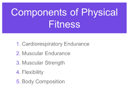 Total fitness can be defined by how well the body performs in each one of the components of physical fitness as a whole. 5 Components Of Health Related Physical Fitness Components Of Physical Fitness 1 Cardiorespiratory Endurance 2 Muscular Endurance 3 Muscular Strength Ppt Download