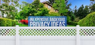 Planting in rows close together trees and shrubs will not spread out as wide as if they were a single species in a. 7 Inexpensive Backyard Privacy Ideas Budget Dumpster