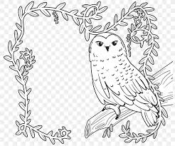 Check spelling or type a new query. The Enchanted Forest Coloring Book Drawing Image Png 800x681px Enchanted Forest Beak Bird Bird Of Prey